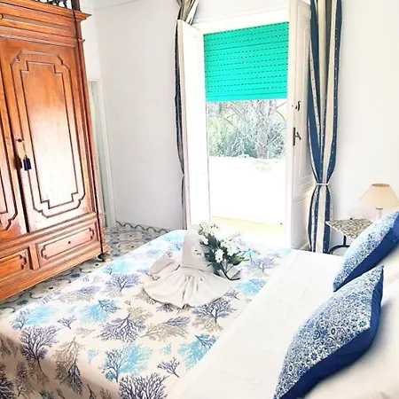 Splendore Deluxe Willa